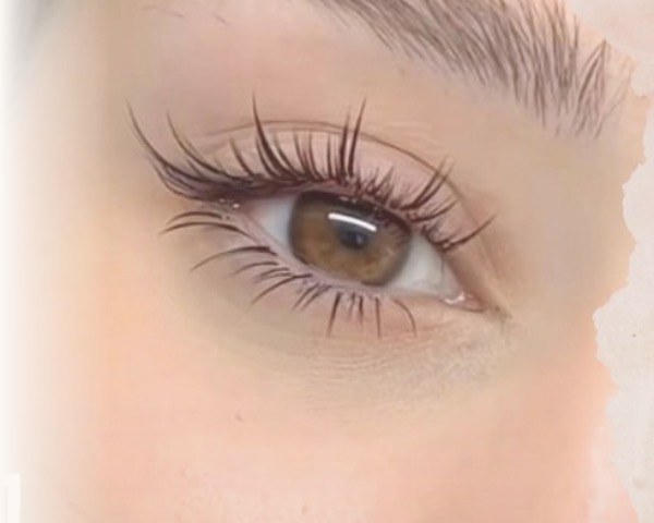 LUCIA LASH/BROWでの施術イメージ、まつげのクローズアップ